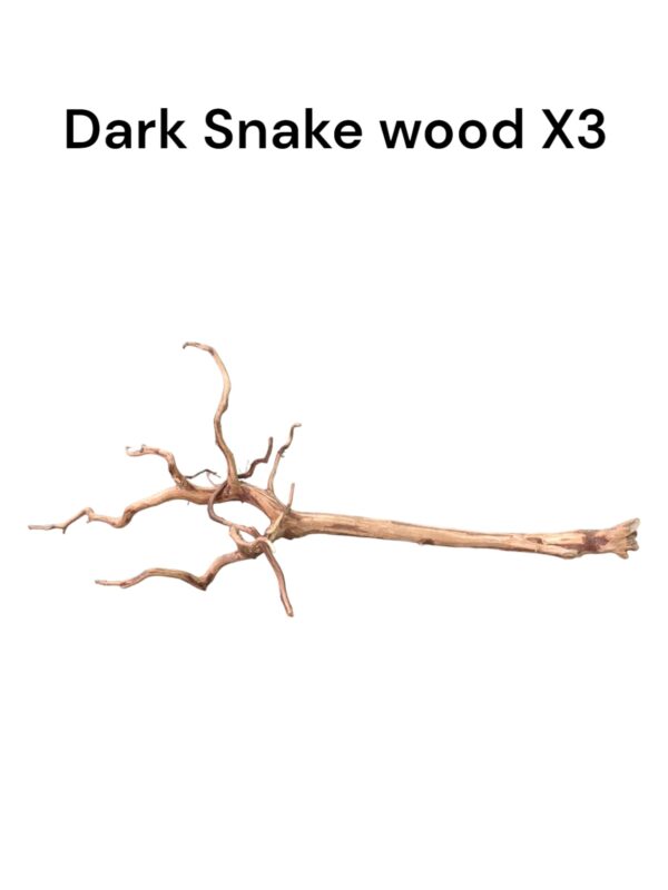 Dark Snake Wood X3